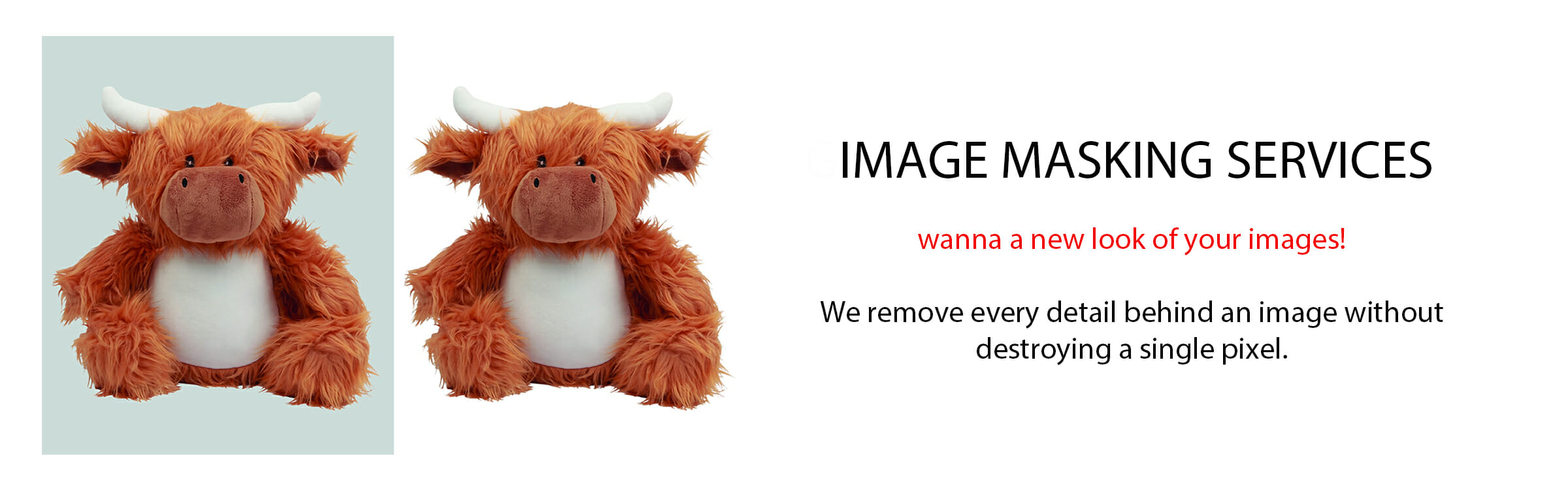 Image Masking